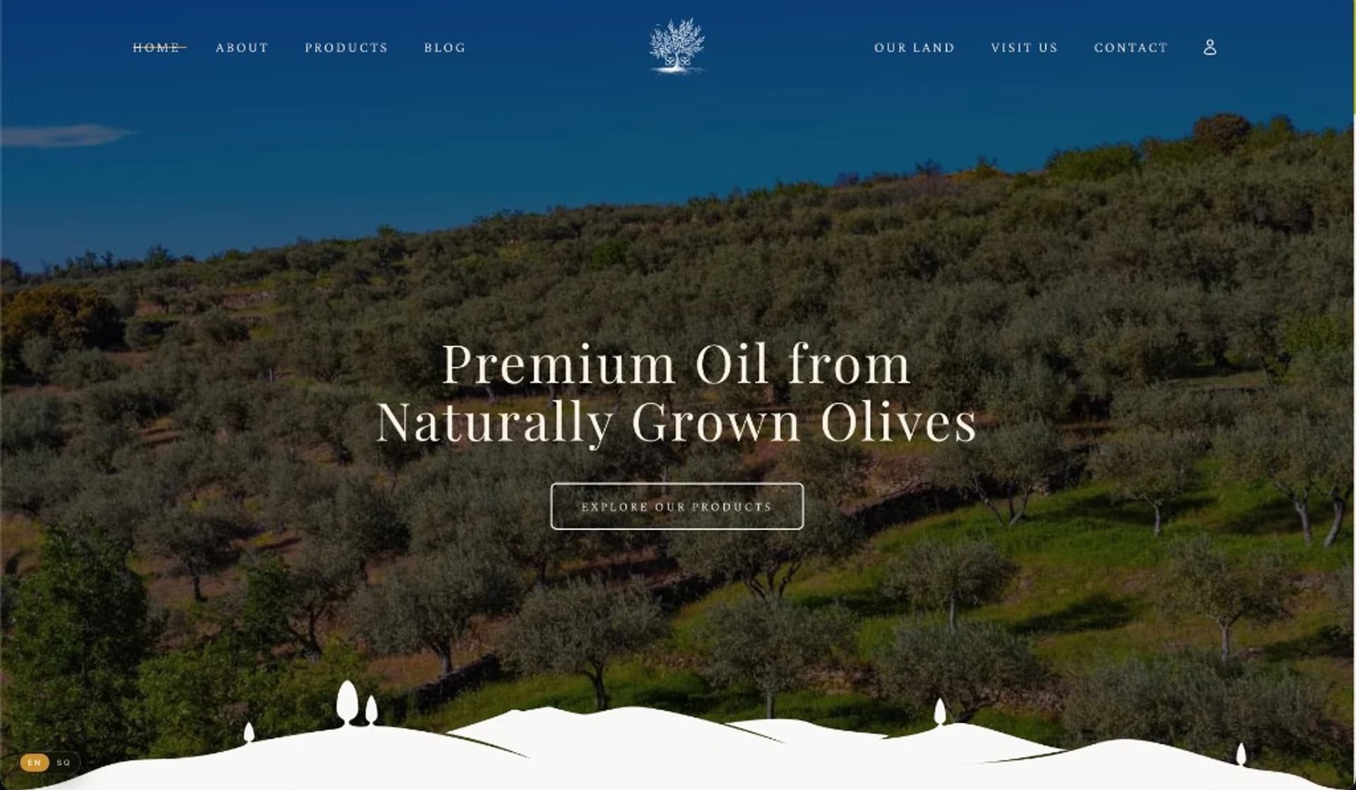 R.S Koli website preview